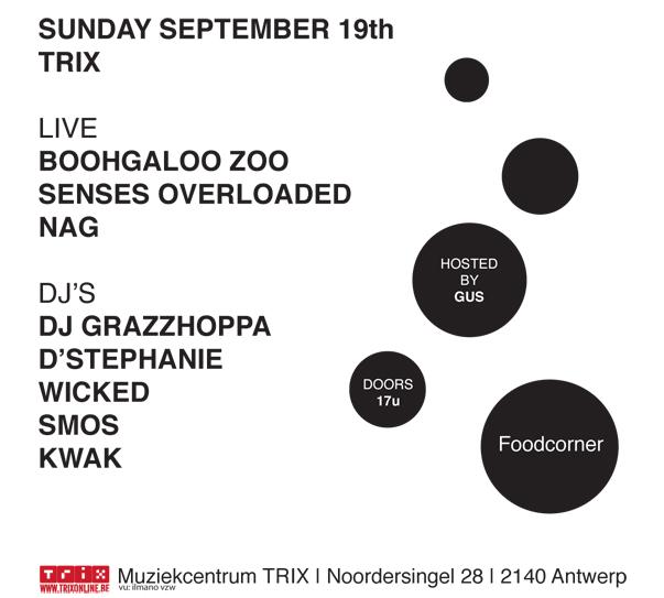 The Sunday Boogie